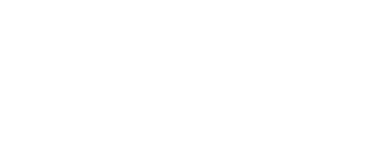 NT Logo